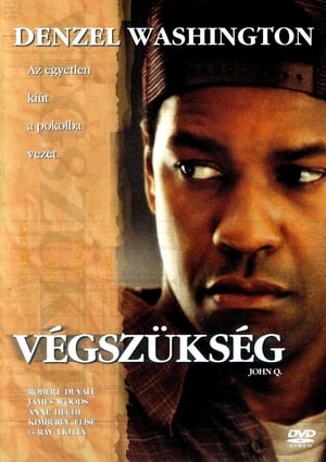 Poster Végszükség 2002