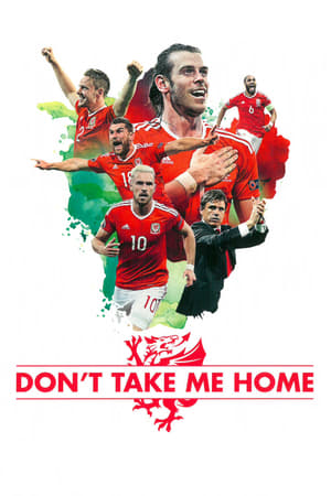 Poster Don't Take Me Home 2017