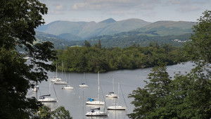 The Elephant in the Lake