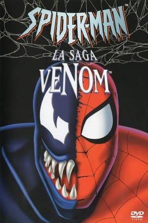 Poster Spider-Man, l'Homme-Araignée Saison 5 Les Guerres secrètes (2) : Une opération manquée 1997