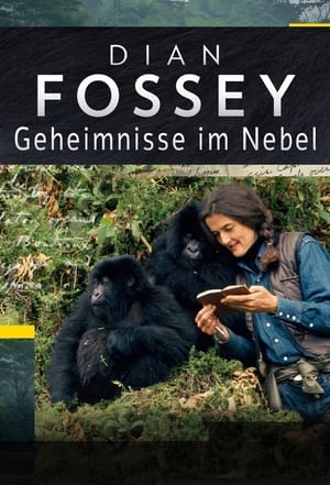 Image Dian Fossey: Geheimnisse im Nebel