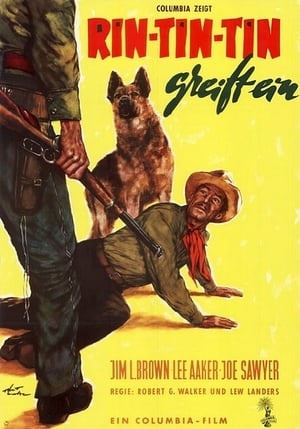 The Challenge of Rin Tin Tin (1958)