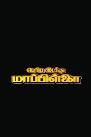 Periya Idathu Mappillai 1997