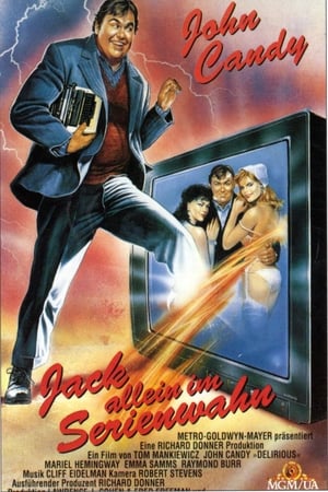 Poster Jack allein im Serienwahn 1991