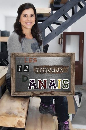 Poster Les 12 travaux d'Anaïs 2016