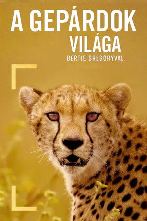 poster Cheetahs Up Close with Bertie Gregory