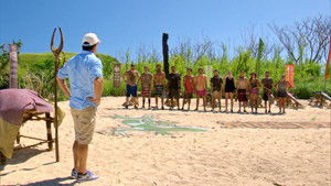 Survivor: 33×9