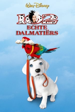 Poster 102 Echte Dalmatiërs 2000