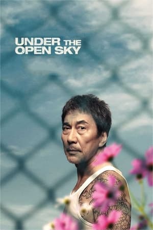 Poster Under the Open Sky (2021)