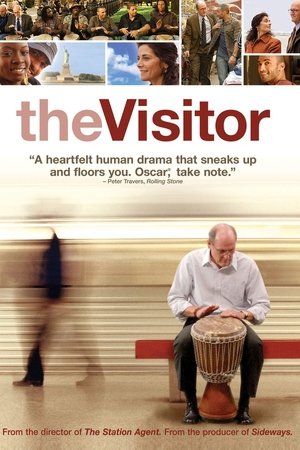 The Visitor cover