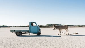 L’uomo che comprò la luna (2018)