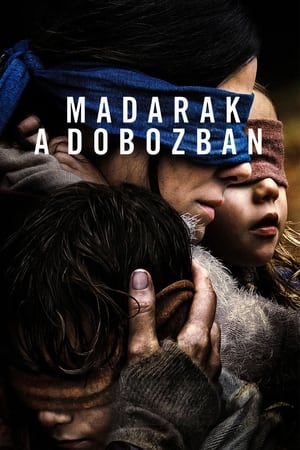 Poster Madarak a dobozban 2018