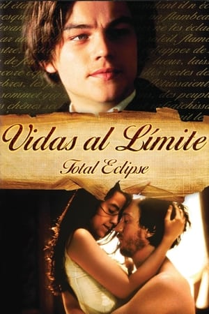 Poster Vidas al límite 1995