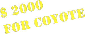 Two Thousand Dollars for Coyote