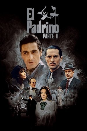 poster The Godfather Part II