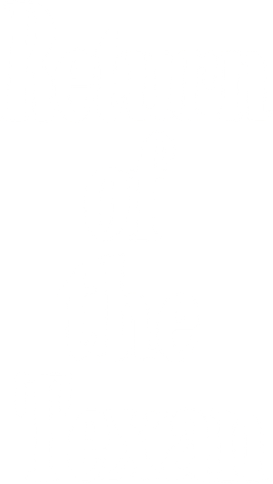 Return of the Texan