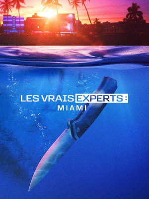 Les vrais experts : Miami