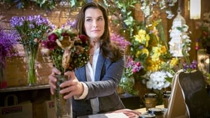 Flower Shop Mystery: Dearly Depotted (2016)