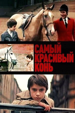 Poster The Most Beautiful Horse 1977