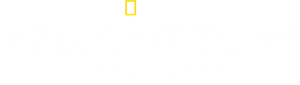 Yellowstone Selvagem — Logos 1