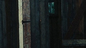 Kes 46