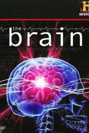 Poster The Brain 2008