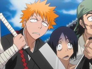 Bleach: 1×29