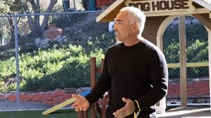 Cesar Millan: Better Human, Better Dog Front of the Pack