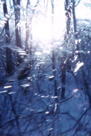 Third Law of Thermodynamics