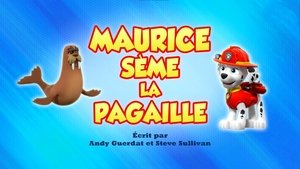 Maurice sème la pagaille