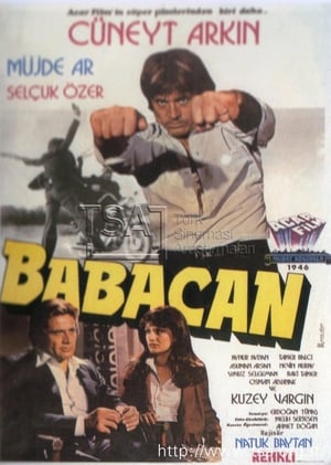 Babacan poster