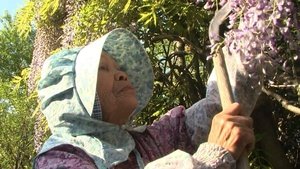 Grandma’s Eternal Forest