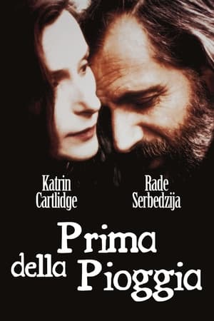 Poster di Prima della pioggia