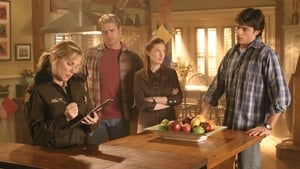 Smallville: 4×12