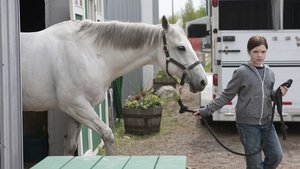 Heartland Temporada 6 Capitulo 2