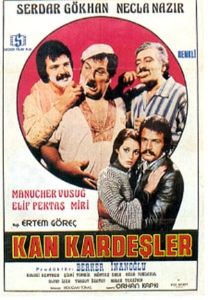 Poster Kan Kardeşler (1977)