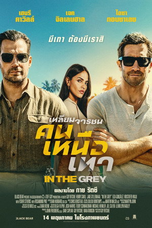 Image เหลี่ยมจารชน คนเหนือเทา