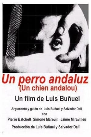 pelicula Un perro andaluz (1929)