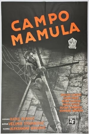 Poster Mamula Camp (1959)