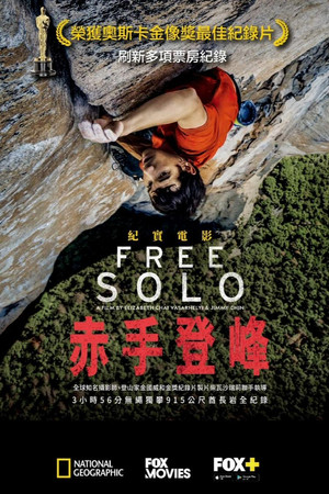 poster Free Solo