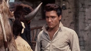 เลือดสังหาร (1961) Flaming Star : Elvis Presley