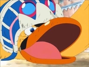 One Piece: Season 4 Episode 113