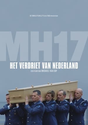Image MH17: Het verdriet van Nederland