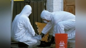 New Epidemic