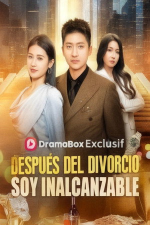 After The Divorce Im Unreachable