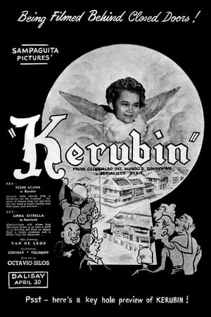 Poster Kerubin (1952)