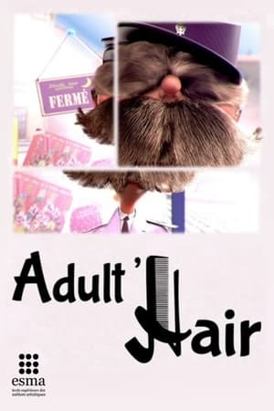 Poster Adult’Hair (2014)