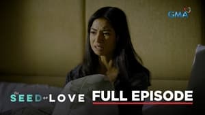 The Seed of Love: Season 1 Full Episode 43