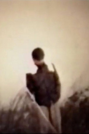 Ningen kichi