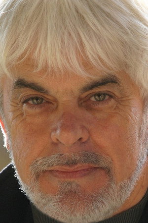 Valerio Massimo Manfredi portrait